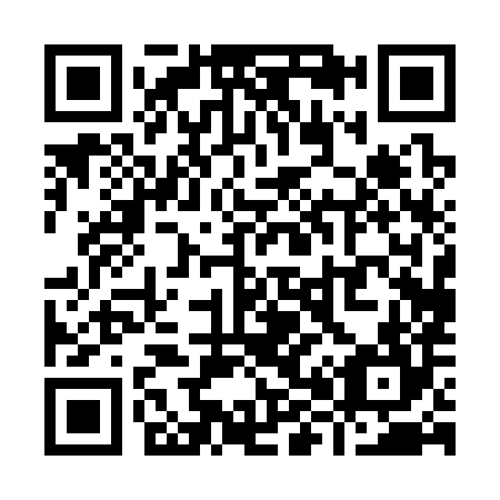 QR code for Y80384