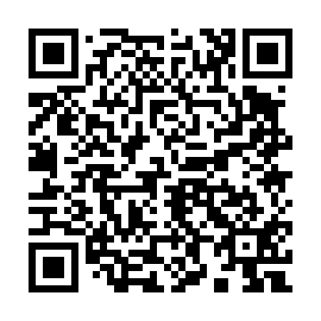 QR code for Y81411