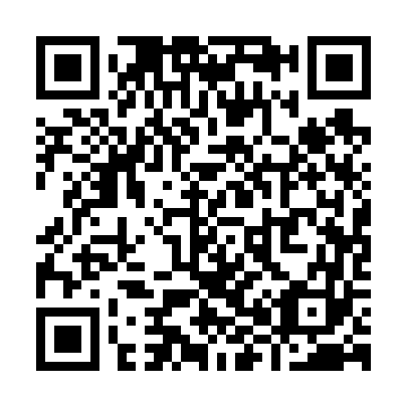 QR code for Y81663