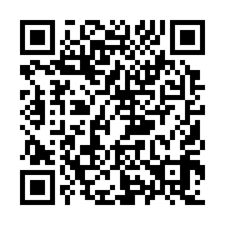 QR code for Y91319