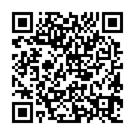 QR code for Y95381
