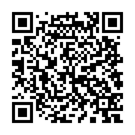 QR code for Y96533