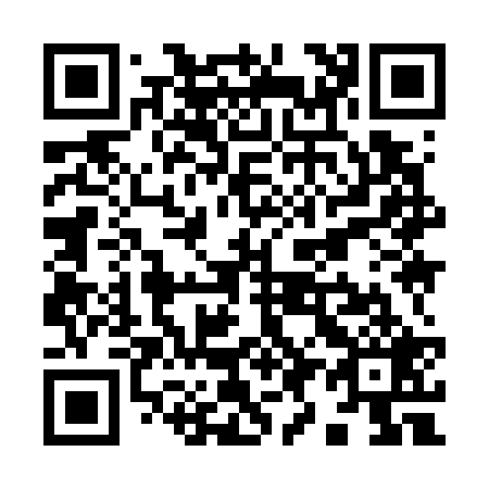QR code for Y99729