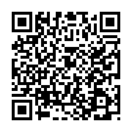 QR code for YBL0155