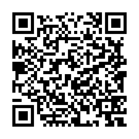 QR code for plate YEL-8793