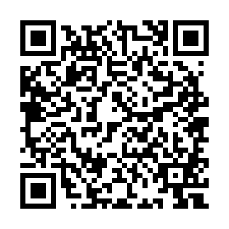 QR code for YFJ2818