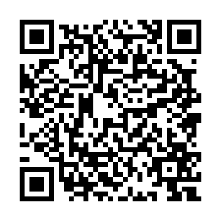 QR code for plate YFX-0676