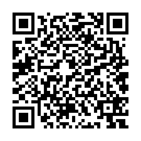 QR code for YHF-6295