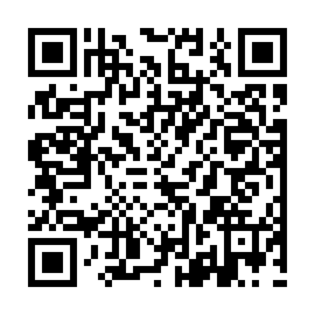 QR code for YJF-0451