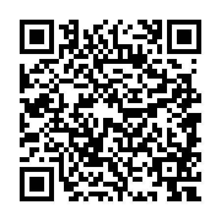 QR code for plate YKT-3868