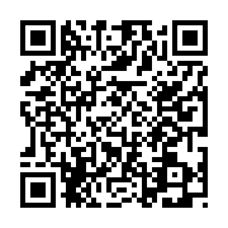QR code for YLL-6739