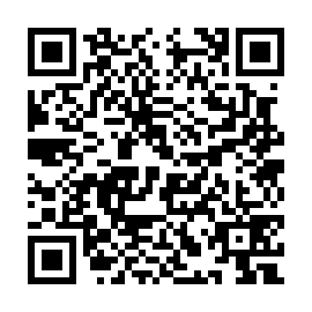 QR code for plate YLS-0795