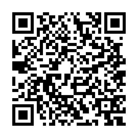 QR code for YLZ0729