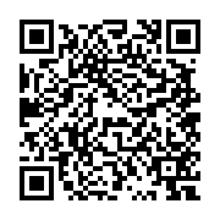 QR code for YPB4538