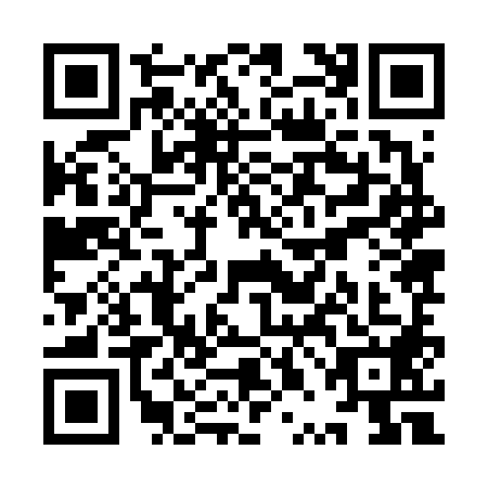 QR code for plate YPJ-6881