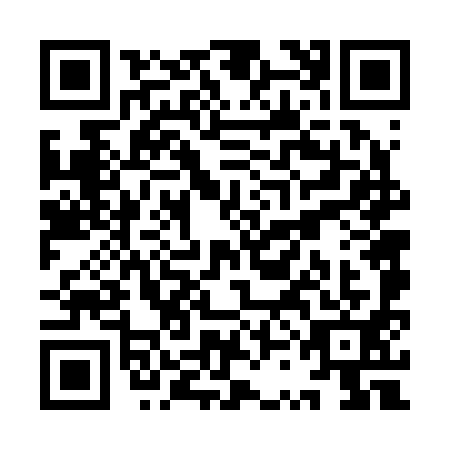 QR code for YSF2911