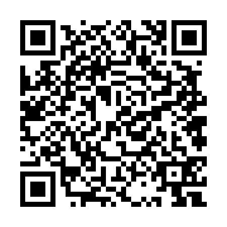 QR code for YSF4328