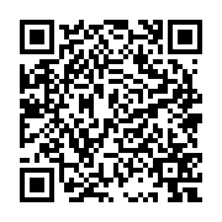 QR code for YSM2771