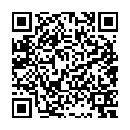 QR code for YSN-2738