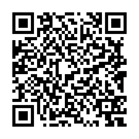 QR code for YVL-8333