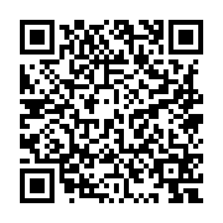 QR code for YYA-9641