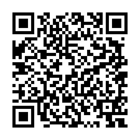 QR code for YYJ-4913