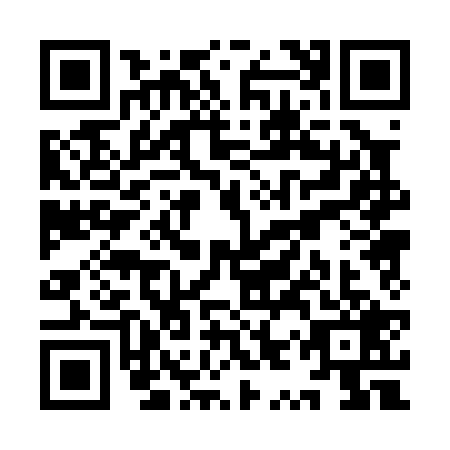 QR code for YYP-0296