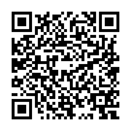 QR code for YYP-9545