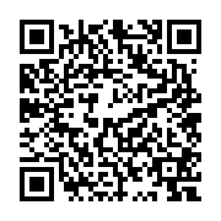QR code for plate YYR-6005