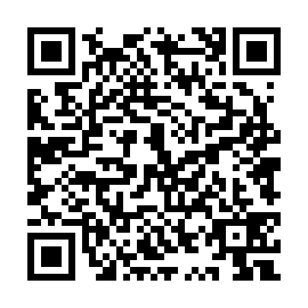 QR code for YYT-2390