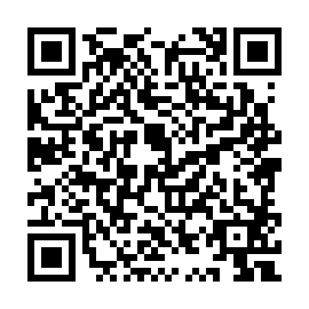 QR code for YYX-3827