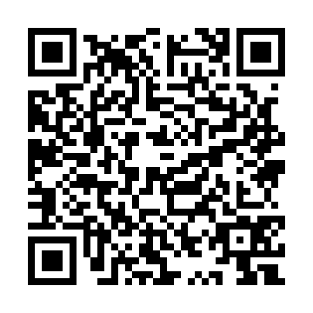 QR code for YYY-1746