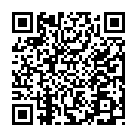 QR code for YYZ-5225