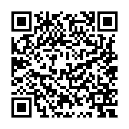 QR code for YYZ-9665