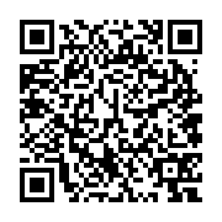 QR code for YZF-2747