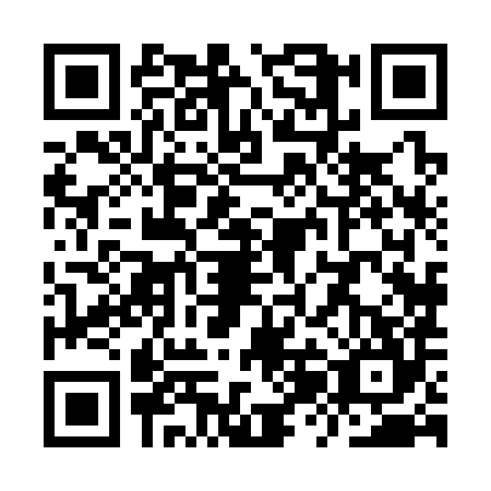 QR code for plate YZH-3843