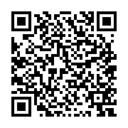 QR code for plate YZZ-3536