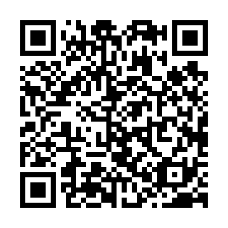 QR code for Z00631