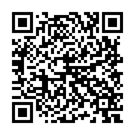 QR code for Z00966