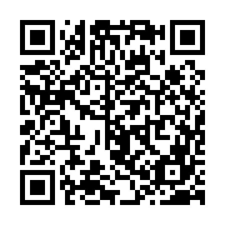 QR code for Z01166