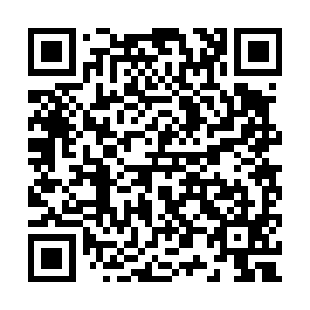 QR code for Z02495