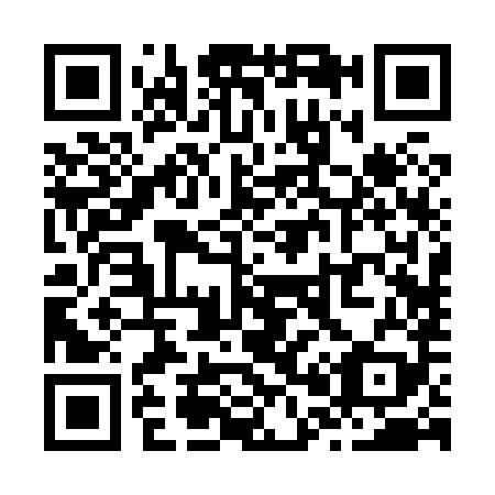 QR code for Z02889