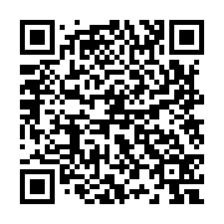 QR code for Z02936