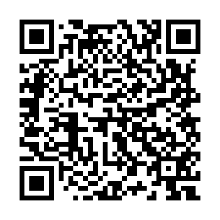QR code for Z02951