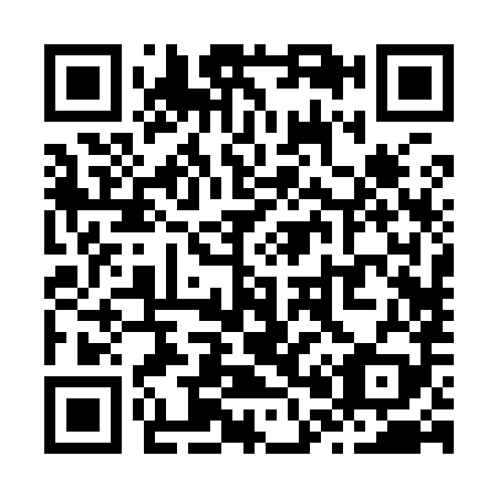 QR code for Z02989