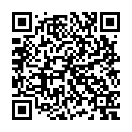 QR code for Z03133