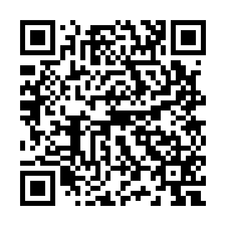 QR code for Z03155