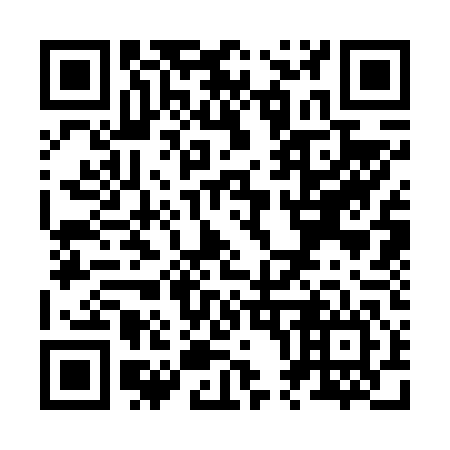 QR code for Z03646