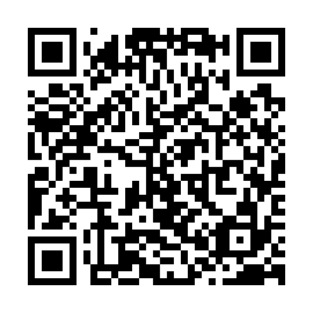 QR code for Z03732
