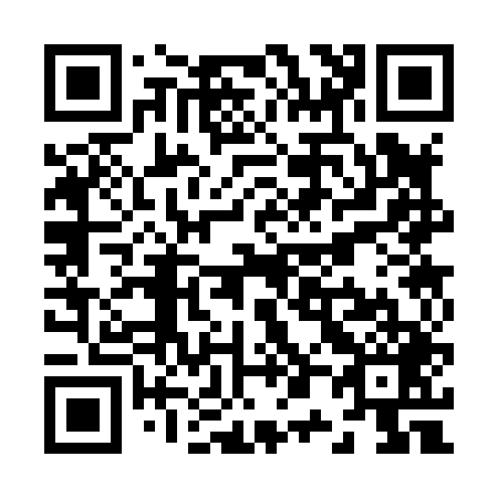 QR code for Z03849